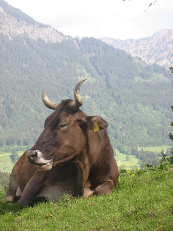 Ferienwohnungen Brunner Fischen im Allgaeu Екстер'єр фото